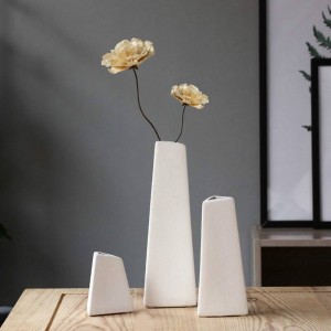 Disposizione dei fiori del vaso stellato del fiore asciutto moderno moderno semplice del vaso di ceramica