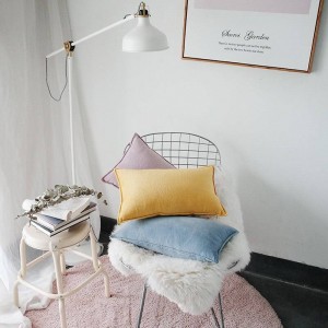 Fodera per cuscino stampato in velluto nobile Designer Luxury Luxury Decorative Pillows Case Almofadas Cojines Sofa Solid Blue Yellow Car Covers