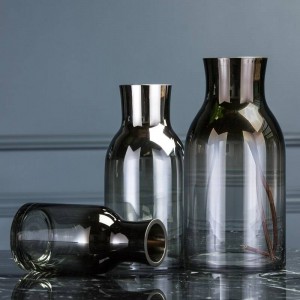 Ornamenti molli moderni semplici semplici della decorazione del fiore del desktop del salone di vetro trasparente semplice del vaso