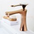 Rose Gold - +2,33 €
