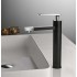Black with Chrome 1