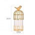 S - +129,49 €