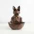 Coffee dog bowl-S - +13,03 €