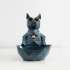 Tex.Blue Cat Bowl -S - +13,03 €