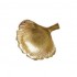 Ginkgo leaves